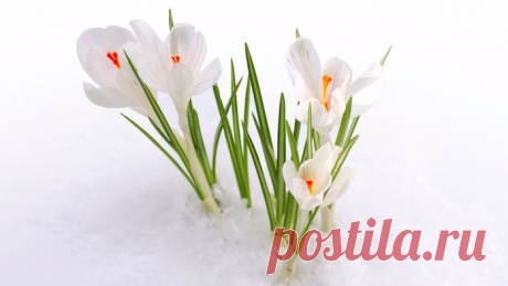 Многие уже работают в интернете. А Вы хотите научиться легко зарабатывать сидя дома? Для начала работы деньги не нужны. Работаем вместе - деньги ваши. Попробуйте свои силы.