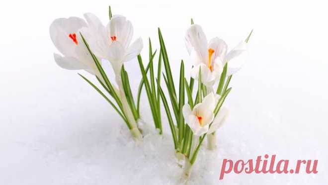 Многие уже работают в интернете. А Вы хотите научиться легко зарабатывать сидя дома? Для начала работы деньги не нужны. Работаем вместе - деньги ваши. Попробуйте свои силы.