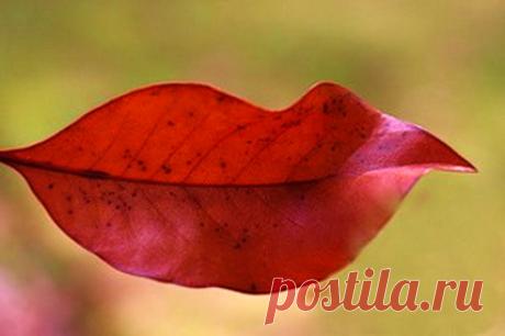 О тепле простой улыбки... (Ирина Самарина-Лабиринт) / Стихи.ру