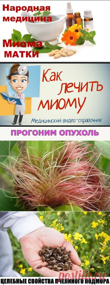 (1) Одноклассники