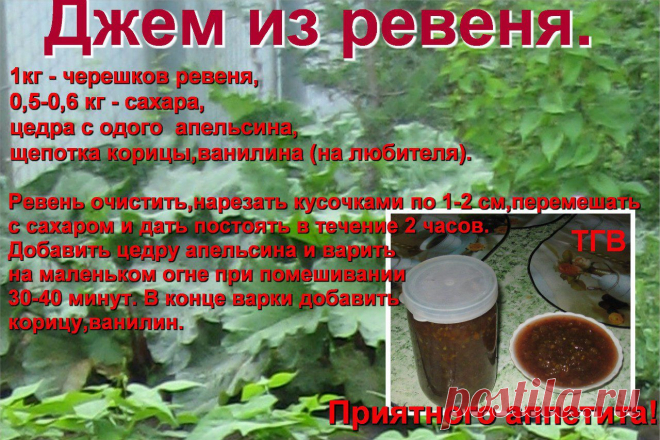 погребок | 37 фотографий