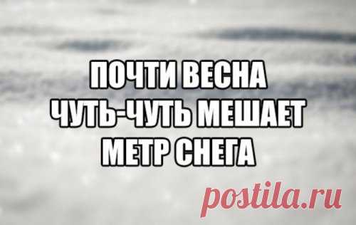 Анекдоты для хорошего настроения (13 шт) | Чёрт побери 1. Сегодня в переходе станции метро Белорусская состоялась встреча выпускников, купивших здесь дипломы 5 лет назад. 2. Не торопитесь делать работу сразу с самого утра. После открытия экселевские файлы должны немного подышать. 3. Быть может, свадьба обошлась бы и без драки, но тут ди-джей включил саундтрек из Мортал Комбат. 4. - Девочки, а кто-нибудь встречался с мужчиной старшего возраста? Как это? Какие будут советы? ...
