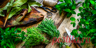 СЕКРЕТЫ ИСПОЛЬЗОВАНИЯ ПРЯНЫХ ТРАВ: ИЗБЕГАЙТЕ ЭТИХ ОШИБОК ДЛЯ МАКСИМАЛЬНОЙ ПОЛЬЗЫ