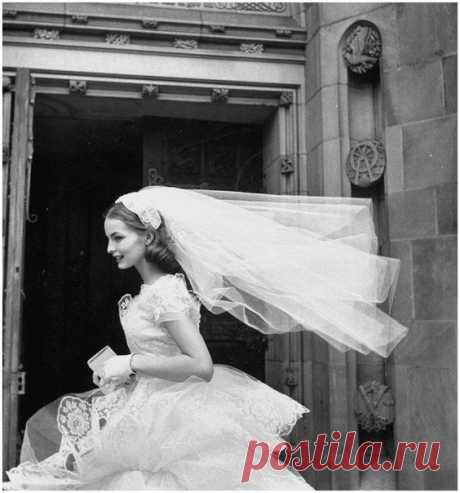 Марта Босс - самая востребованная свад / Путь моды