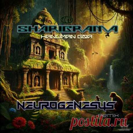 Sharigrama - Hanuman Goa (Neurogenesys Remix)