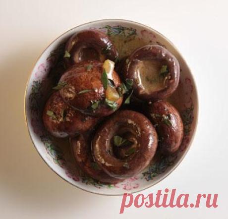Маринад для грибов белых – готовим правильно