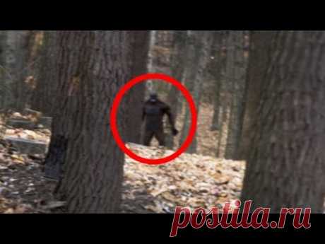 4 Terrifying BIGFOOT Encounters Caught on Camera