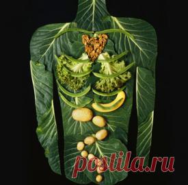 Состав продуктов