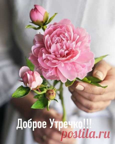 хх