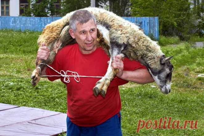 Краснотурьинск отметил Сабантуй-2015 | Газета Вечерний Краснотурьинск БАТЫР!