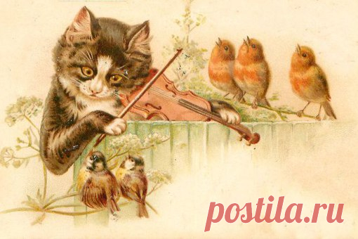 Котятки-ребятки для ваших работ.