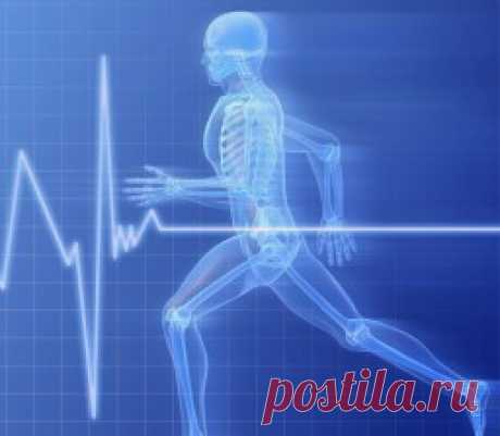 Физические нагрузки для здоровья — Dietoflife.ru