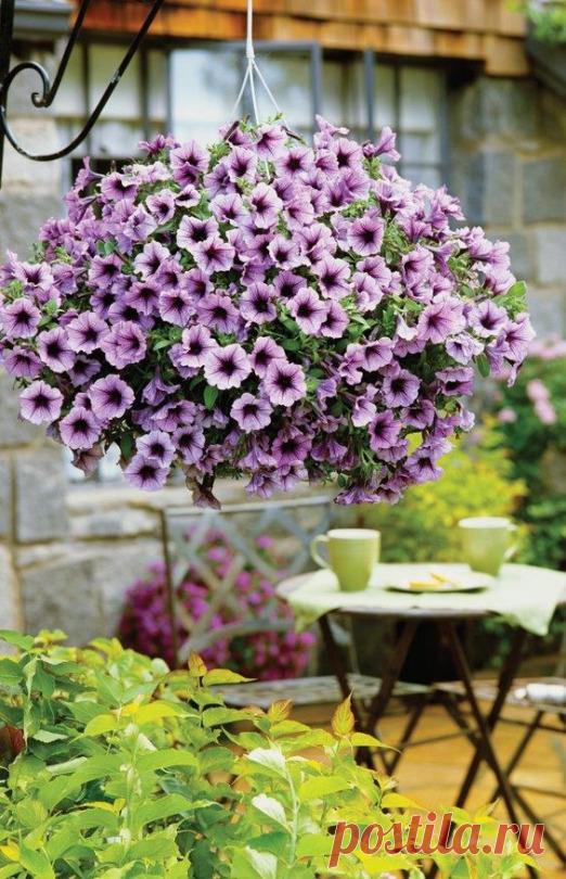 ....................