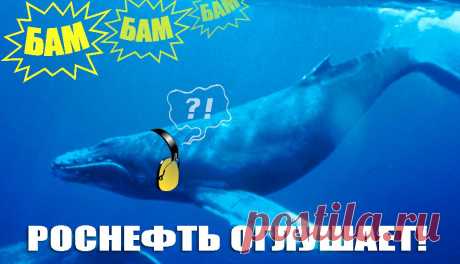 Роснефть проводит сейсморазведку в Арктике. Она вредна для морских обитателей, так как частоты звуков сейсморазведки совпадают с диапазоном их звуковой чувствительности. От этого они могут не только потерять слух, но и погибнуть. Уже сейчас морские обитатели страдают от деятельности нефтедобывающих компаний, а они еще и не начинали бурить! Нефтяники хотят за наш с вами счет погубить все живое в Арктике. Они требуют огромные льготы для освоения шельфа. Выступи против алчности и жестокости!