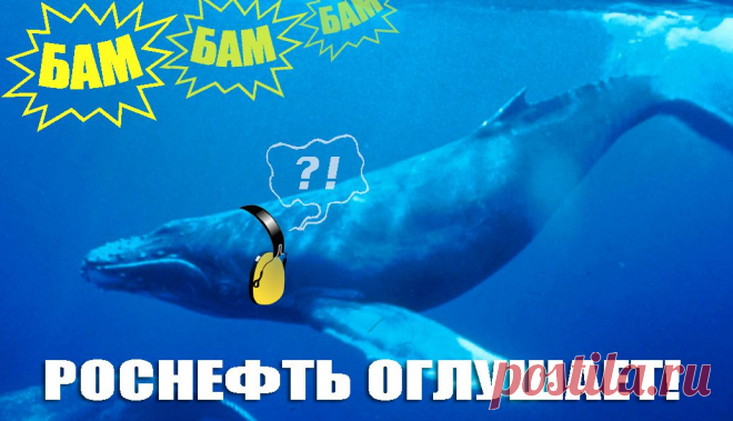 Роснефть проводит сейсморазведку в Арктике. Она вредна для морских обитателей, так как частоты звуков сейсморазведки совпадают с диапазоном их звуковой чувствительности. От этого они могут не только потерять слух, но и погибнуть. Уже сейчас морские обитатели страдают от деятельности нефтедобывающих компаний, а они еще и не начинали бурить! Нефтяники хотят за наш с вами счет погубить все живое в Арктике. Они требуют огромные льготы для освоения шельфа. Выступи против алчности и жестокости!