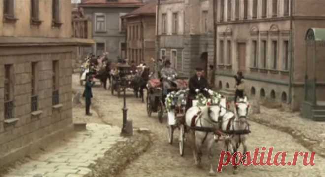 В лесах и на горах (2010)