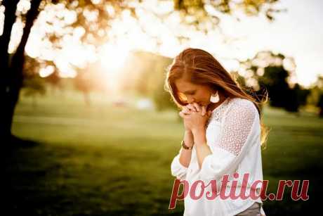 Сильнейшие молитвы перед операцией чтобы она прошла успешно Читайте молитвы перед операцией: ✅Богу, ✅Святому Луке Крымскому, ✅Николаю Чудотворцу, ✅Пантелеймону, ✅ Войно Ясенецкому, ✅ Ангелу-хранителю.