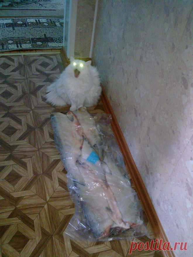 Всё мне???