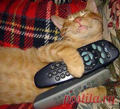 хранитель пультов