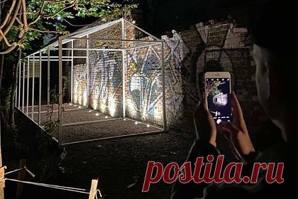 В Нижнем Новгороде появились исторические тематические сады. В честь 800-летнего юбилея в историческом центре Нижнего Новгорода появилось несколько новых культурных пространств. Так, в районе улиц Новая, Короленко и Студеная открылось пять исторических садов — каждый из них имеет свою тематику. Например, в одном из дворов находится «Сад кинематографа».