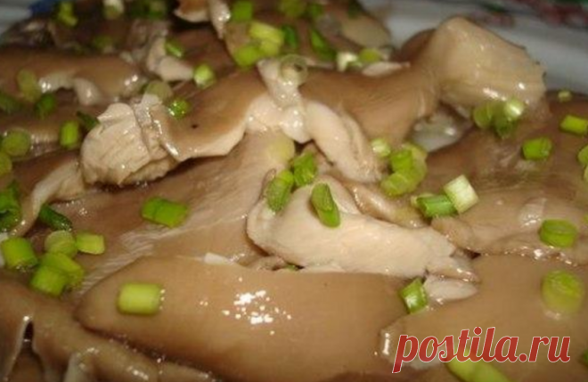 Этот секрет моя бабуля написала в семейной книге. Маринуем вешенки с любовью! Этот Рецепт — гордость моей семьи!