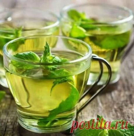 ИЗБАВИТ ОТ ЛИШНЕГО ВЕСА И УЛУЧШИТ ГОРМОНАЛЬНЫЙ ФОН ИЛИ ПОЧЕМУ ЖЕНЩИНАМ ПОЛЕЗЕН НАСТОЙ ИЗ ЛИСТЬЕВ ШЕЛКОВИЦЫ