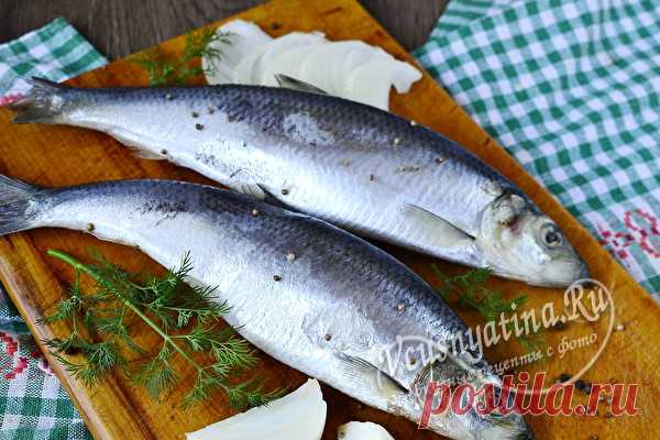Как засолить сельдь целиком в домашних условиях вкусно и быстро Если вы не доверяете качеству соленой рыбы, которая продается в магазине, то можете засолить сельдь целиком самостоятельно, тем более это так просто и быстро. В домашних условиях селедка получается очень вкусной.