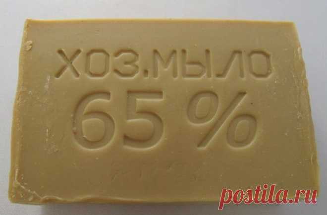 От мучнистой росы