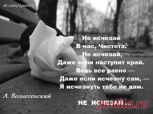 image (600×450)