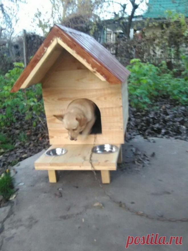 Будки для собак | | Для тех, кто любит работать с деревом