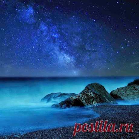 Google+