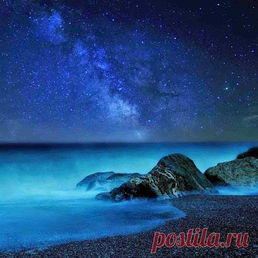 Google+