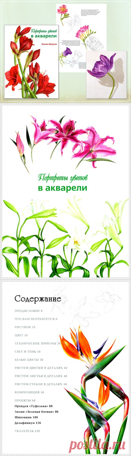 "Портреты цветов в акварели". Книга Шоуэлл Б. Часть - 1.