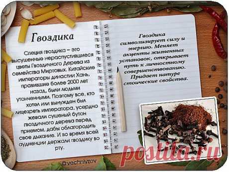 Мой Мир@Mail.Ru