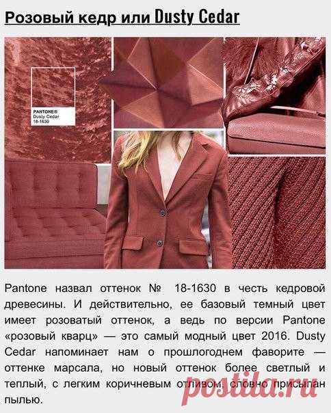 Модные цвета этого сезона: 10 потрясающих цветов! — В РИТМІ ЖИТТЯ