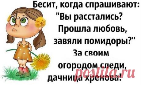 Картинки с юмором: прикольные надписи и фразы | В темпі життя