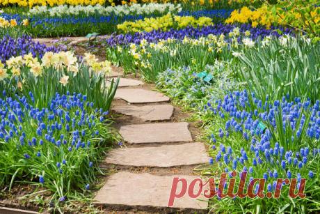 9 материалов для устройства садовой дорожки [ad name=»content»] Уют на дачном участке — дело немаловажное. На земле мы не только работаем, но и отдыхаем. А садовые дорожки способны украсить любой участок. Но прежде всего это вопрос …