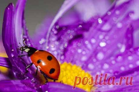 КАКОЙ СЕГОДНЯ ПРАЗДНИК? 9 Апреля 2020 г. – Четверг • День памяти мученицы Матроны Солунской • День рождения «веселящего газа»221 год • День восходящего солнца в шкафной стране • Иудейская Пасха (Песах, Passover) • День финского языка (Finnish Language Day) • Католический Великий четверг (Holy Thursday) • Международный день ТОП-менеджера11 лет • Международный день автономной сенсорной меридиональной реакции (International ASMR Day)8 лет • Всемирный день конкани (Viswa Konknni Dis) • День…