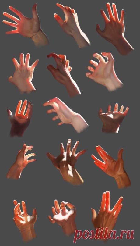 Рисунок. Кисть руки. Свет. Цвет. Прозрачность.