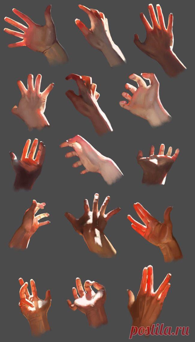 Рисунок. Кисть руки. Свет. Цвет. Прозрачность.