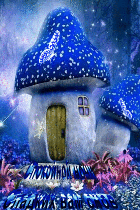 Спокойной  ночи