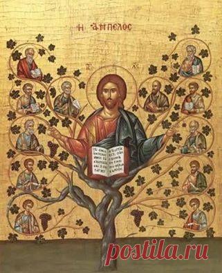 (2) Facebook Господа Бога святите в сердцах ваших; будьте всегда готовы всякому, требующему у вас отчета в вашем уповании, дать ответ с кротостью и благоговением.
Имейте добрую совесть, дабы тем, за что злословят вас, как злодеев, были постыжены порицающие ваше доброе житие во Христе.