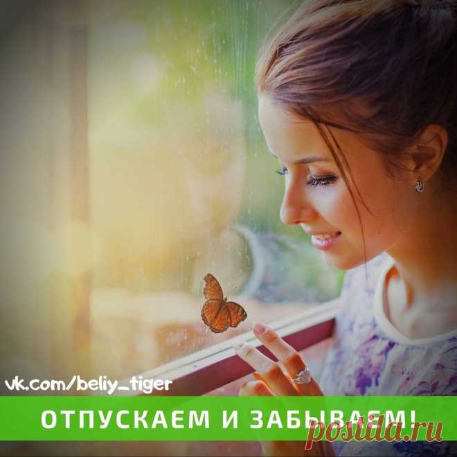 20 вещей которые нужно отпустить Интересные факты обо всём на свете, которых вы, возможно, не знали.