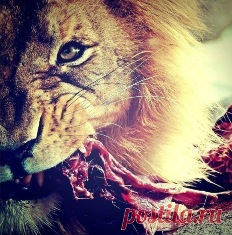 Интересные новости