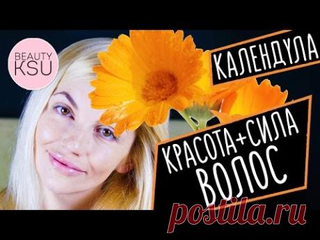 Настойка календулы для красоты и силы волос. Уход за волосами в домашних условиях #beautyksu