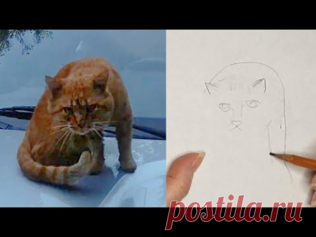 Нарисовала Рыжика - YouTube