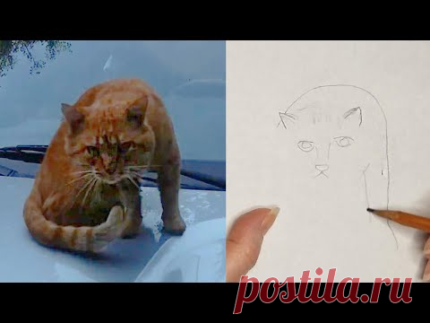 Нарисовала Рыжика - YouTube