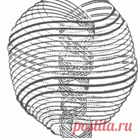 10  ПОЛЕВАЯ ПСИХОЭНЕРГОИНФОРМАЦИОННАЯ МЕДИЦИНА И ДРУГИЕ РЕЗЕРВНЫЕ ВОЗМОЖНОСТИ ЧЕЛОВЕКА