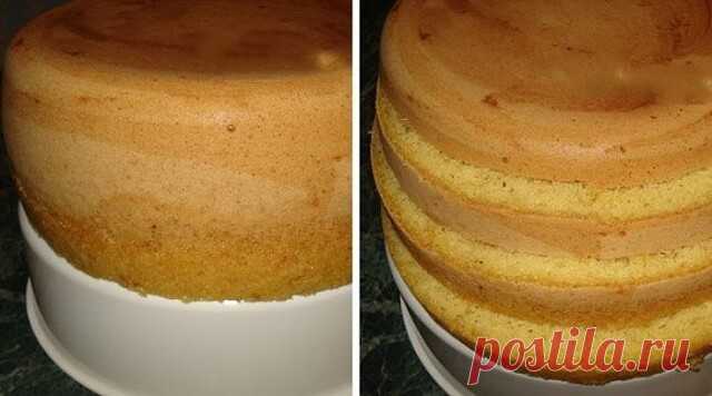 Самый простой рецепт бисквита
Такого высоченного бисквита у меня ещё не получалось!
Получается высокий, пышный корж, из которого можно соорудить большущий торт на всю семью!
Рецепт на сайте: https://gotovchik.ru/samyj-prostoj-recept-biskvita.html?utm_source=vipec&utm_campaign=desserts
