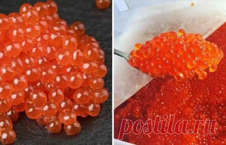 Как определить качество красной икры в магазине